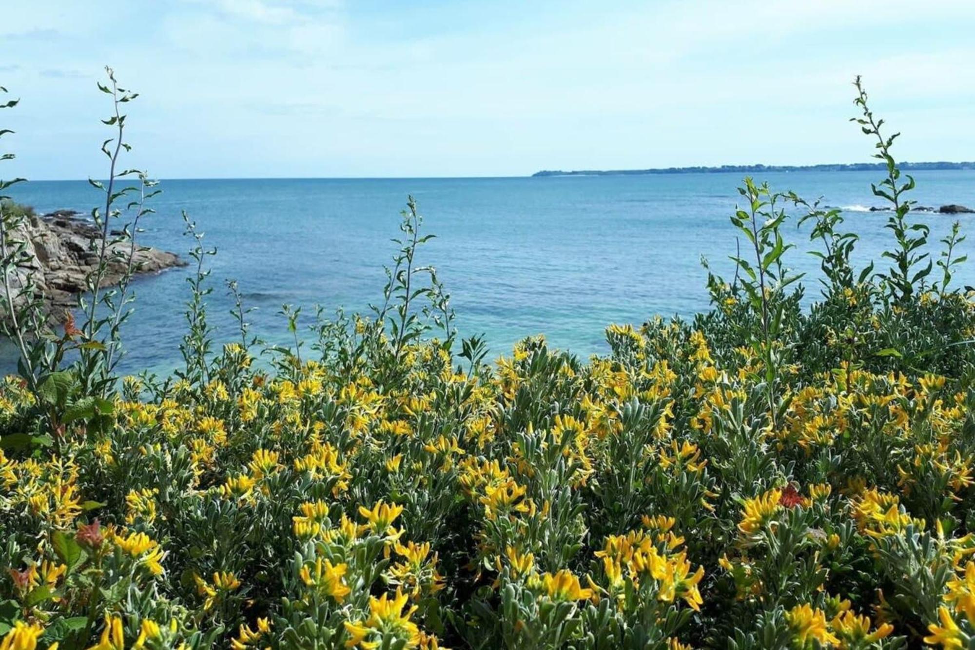 Charmant T3 cosy À 2 pas du bourg et des plages Larmor-Plage Extérieur photo